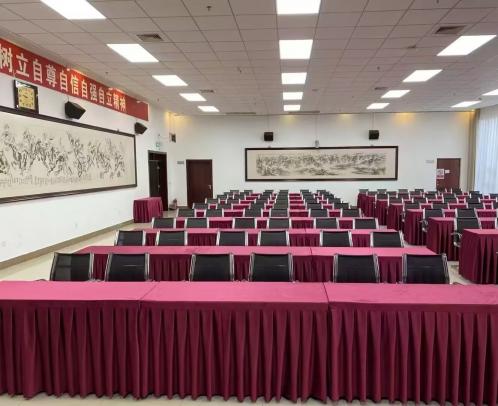 2026款天鹅绒台裙